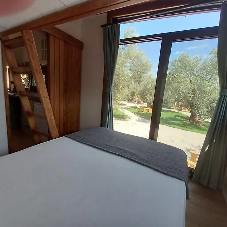 Holiday home Comfortable Tiny House Surrounded By Olive Trees Near Beach In Ayvacik *