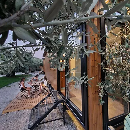 Holiday home Comfortable Tiny House Surrounded By Olive Trees Near Beach In Ayvacik Kucukkuyu