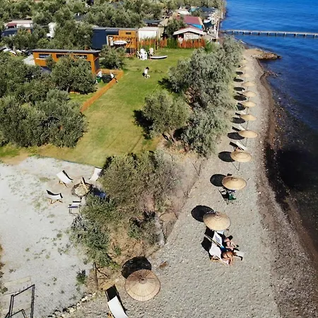 Holiday home Comfortable Tiny House Surrounded By Olive Trees Near Beach In Ayvacik
